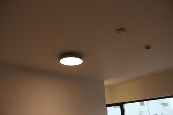 Aplica-tavan-Aurel-Persu