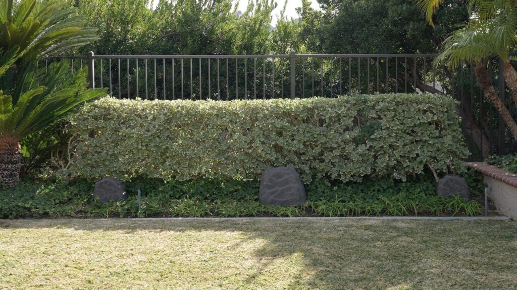 Rock Speakers - boxe de exterior Sonance